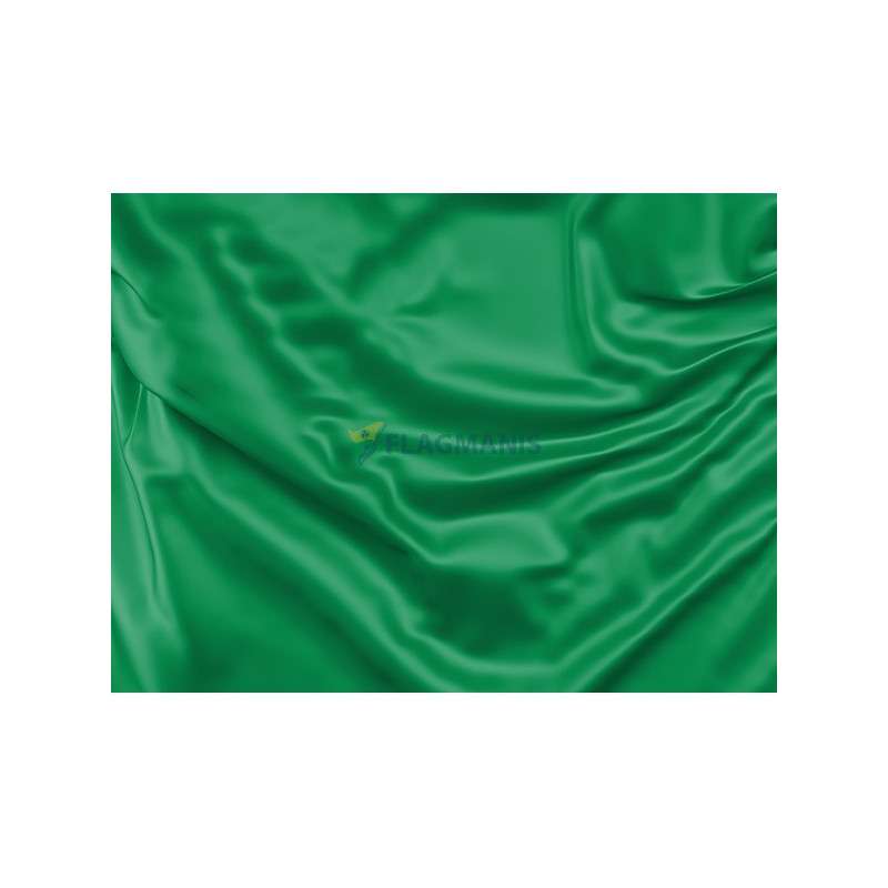 Zaļais karogs (tīra trases daļa)
