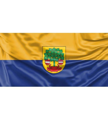 Valmieras pilsētas karogs