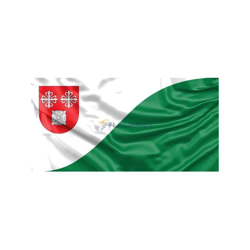 Raunas novada karogs