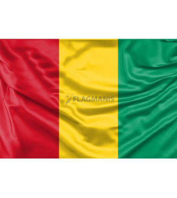 Gvinėjos karogs
