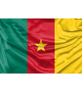 Kamerūnas karogs